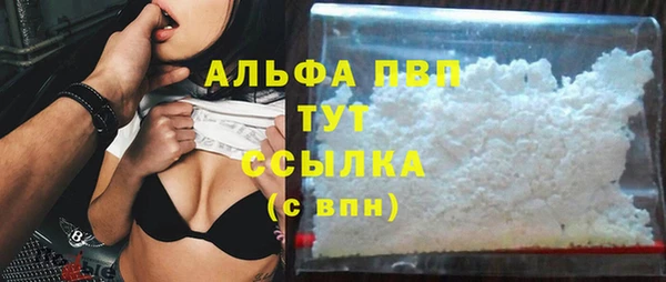 прущие крисы Горняк