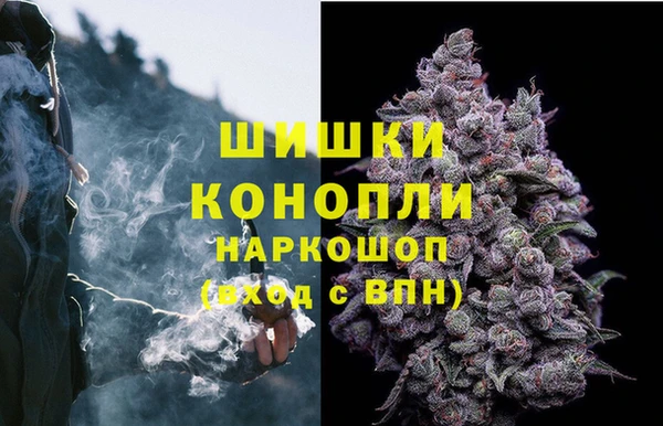 apvp Горно-Алтайск