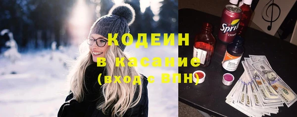 соль ск Снежинск