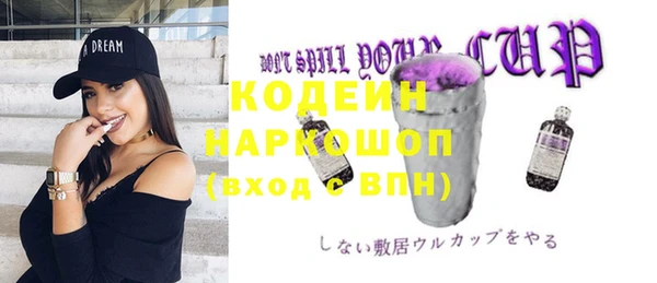 прущие крисы Горняк