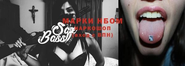 прущие крисы Горняк