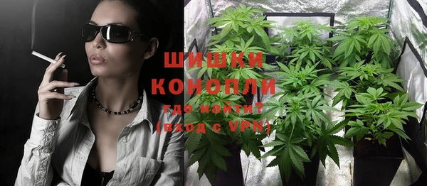 прущие крисы Горняк