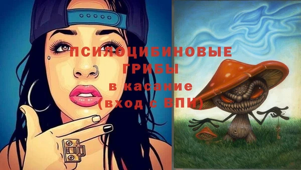 apvp Горно-Алтайск