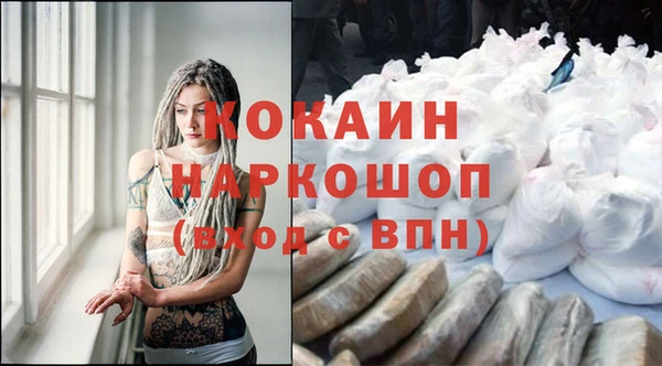 прущие крисы Горняк