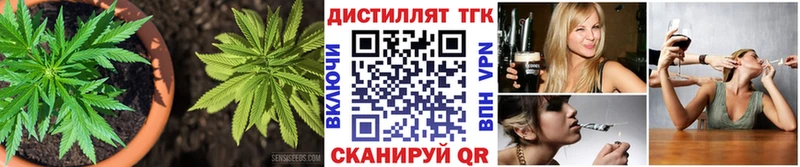 МЕГА зеркало  Пестово  Дистиллят ТГК концентрат 