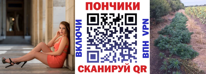 как найти наркотики  Пестово  Бошки Шишки план 